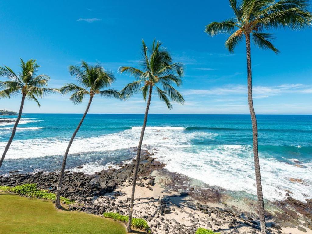 Castle At Kona Reef Apartamento
